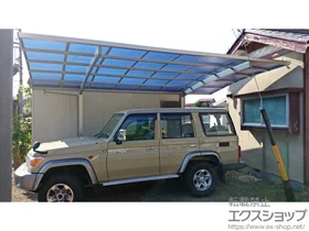 YKKAP�̃J�[�|�[�g ���C�i�|�[�g�O�����@�ϐ�`20cm�Ή� �{�H��