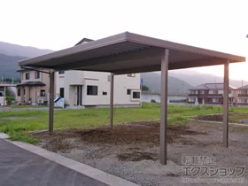 LIXIL ���N�V��(�g�X�e��)�̃J�[�|�[�g �e���I�X�|�[�gIII 1500 2��p �p��4�{�d�l �ϐ�`50cm�Ή� �{�H��