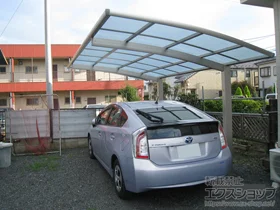 YKKAP�̃J�[�|�[�g ���C�i�|�[�g�O���� �ϐ�`20cm�Ή� �{�H��