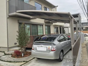 LIXIL(NV)̃J[|[g lXJR (EhX^C) ϐ`20cmΉ {H