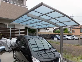 YKKAP�̃J�[�|�[�g ���C�i�|�[�g�O�����@�ϐ�`20cm�Ή� �{�H��