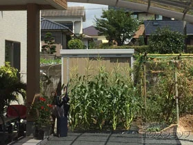 �C�i�o�̕��u�E���[�E���O�q�� �l�N�X�^ ��ʌ^(NXN-30S�@MB ) �{�H��