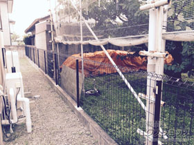 のフェンス・柵 イーネットフェンス1F型 自由柱タイプ 施工例