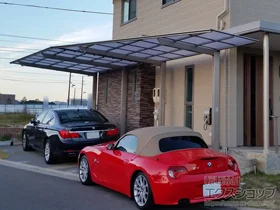 LIXIL(���N�V��)�̃J�[�|�[�g �l�X�JF (�t���b�g�X�^�C��) �ϐ�`20cm�Ή��{���E���T�|�[�g �{�H��