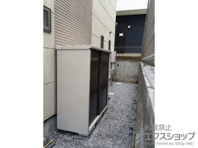 ^N{̕uE[EOq OvXe[WWXg(M-156BF WB) {H