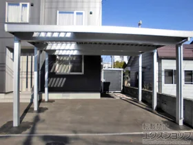 LIXIL ���N�V��(�g�X�e��)�̃J�[�|�[�g �e���I�X�|�[�gIII 4500 2��p �p��6�{�d�l �ϐ�`150cm�Ή� �{�H��