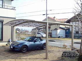 LIXIL(���N�V��)�̃J�[�|�[�g �l�X�JR (���E���h�X�^�C��) ���C�h �ϐ�`20cm�Ή� �{�H��