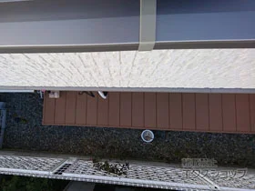 Value Select�̃E�b�h�f�b�L �}�[�W�E�b�h�f�b�L �{�H��