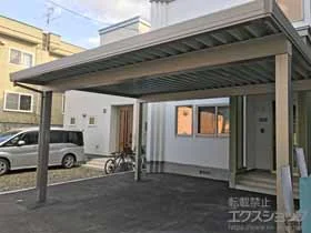 LIXIL NV(gXe)̃J[|[g eIX|[gIII 3000 2p p4{dl ϐ`100cmΉ {H