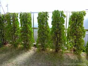 LIXIL NV(TOEX)̃tFX CVXtFXP^ i {H