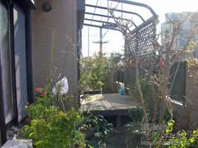 Value Select�̃E�b�h�f�b�L �}�[�W�E�b�h�f�b�L �{�H��