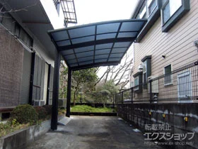 LIXIL(���N�V��)�̃J�[�|�[�g �l�X�JR (���E���h�X�^�C��) �ϐ�`20cm�Ή��{���E���T�|�[�g �W�����p 2�{���~1�Z�b�g �{�H��