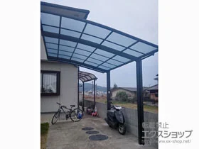 LIXIL(NV)̃J[|[g lXJR (EhX^C) ϐ`20cmΉ {H