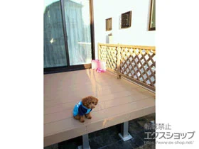 Value Select�̃E�b�h�f�b�L �}�[�W�E�b�h�f�b�L�{���e�B�X�f�b�L�t�F���X �{�H��