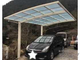 YKKAP�̃J�[�|�[�g ���C�i�|�[�g�O�����@�ϐ�`20cm�Ή� �{�H��