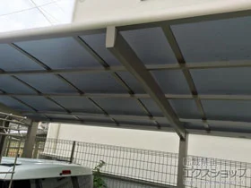 LIXIL(NV)̃J[|[g lXJR (EhX^C) ϐ`20cmΉ {H