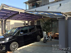 LIXIL(NV)̃J[|[g lXJR (EhX^C) ϐ`20cmΉ {H