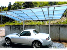 YKKAP�̃J�[�|�[�g ���C�i�|�[�g�O�����@�ϐ�`20cm�Ή� �{�H��