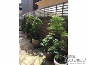 l̃tFXEE NfBtFXG6^ ̌[o[^Cv Rxdl {H