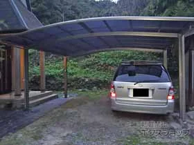 LIXIL(���N�V��)�̃J�[�|�[�g �l�X�JR (���E���h�X�^�C��) ���C�h �ϐ�`20cm�Ή� �{�H��