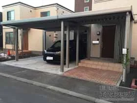 YKKAP�̃J�[�|�[�g �W�[�|�[�gneo A�^�C�v 2��p �p��4�{�d�l �ϐ�`100cm�Ή� �{�H��