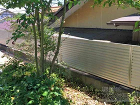 Value Select̃tFXEE ~G[ltFX ډB[o[^Cv R {H