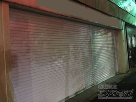 のガレージシャッター プラテアII スチールタイプ 内蔵電動式 ※2連窓仕様 施工例