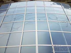 LIXIL(NV)̃J[|[g t[SR Ch ϐ`20cmΉ 䕗⏞t {H