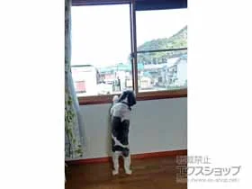 YKKAP̓idEdTbVj v}[hU Ⴂ 2 {H