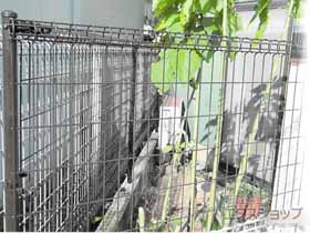 のフェンス・柵 メッシュフェンス M0 間仕切柱 施工例