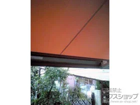 LIXIL NV(gXe)̃I[jOETVF[hE悯 ʕ ₩ S^ 蓮 {H