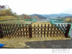 のカーゲート アルシャインHG ノンキャスター 両開き 510W 施工例