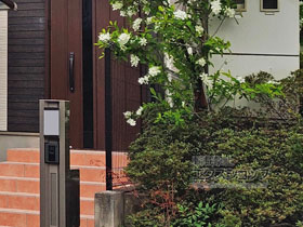 のフェンス・柵 イーネットフェンス1F型 自由柱タイプ 施工例