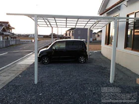 LIXIL(NV)̃J[|[g lXJR (EhX^C) Ch ϐ`20cmΉ {H