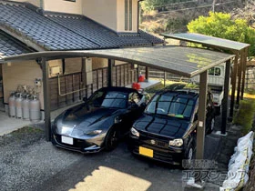 LIXIL(���N�V��)�̃J�[�|�[�g �l�X�JR (���E���h�X�^�C��) ���C�h �ϐ�`20cm�Ή� �{�H��