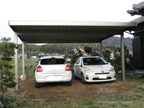 のカーポート テリオスポートIII 1500 2台用 角柱4本柱 積雪〜50cm対応 施工例