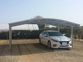 のカーポート プレシオスポート ワイド 積雪〜20cm対応 施工例