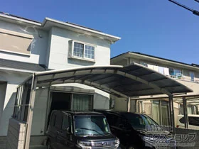 LIXIL(NV)̃J[|[g lXJR (EhX^C) M ϐ`20cmΉ {H