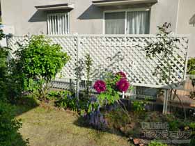 のフェンス・柵 ライシスフェンス 11型 ラチス格子 2段柱[60角]（パネル1段） 施工例