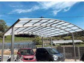 LIXIL(���N�V��)�̃J�[�|�[�g �l�X�JR (���E���h�X�^�C��) ���C�h �ϐ�`20cm�Ή� �{�H��