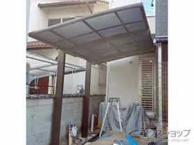 LIXIL(NV)̃J[|[g lXJR (EhX^C) ϐ`20cmΉ {H