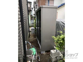 hRE̕uE[EOq GX ʌ^ 1950~650~1959 ESE-1906A-SM {H