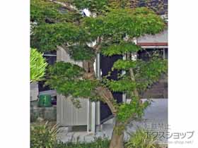 の物置・屋外倉庫 エスモ 一般型 1797×750×1959 ESE-1807A-DW 施工例