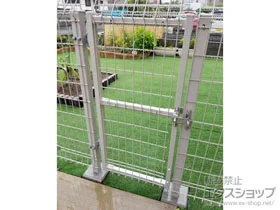 ϐ(ZLXC)̃tFXEE bVtFX G10 R {H