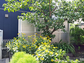 のフェンス・柵 ミエーネフェンス 目隠しルーバータイプ 2段支柱 自立建て用（パネル2段） 施工例