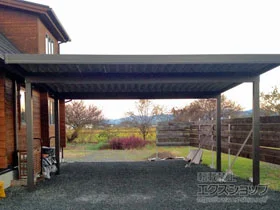 LIXIL ���N�V��(�g�X�e��)�̃J�[�|�[�g �e���I�X�|�[�gIII 1500 2��p �p��4�{�� �ϐ�`50cm�Ή� �{�H��