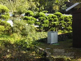 �C�i�o�̕��u�E���[�E���O�q�� �V���v���[ ��ʌ^ 1520�~615�~1603�iMJX-156D�j MJX-156D-FW �{�H��