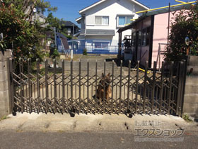 のカーゲート トリップゲート ペットガード型 ノンレール 片開き　37S 施工例