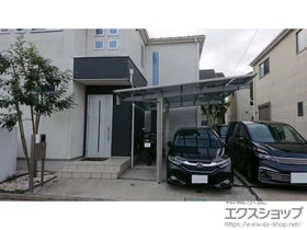 YKKAP�̃J�[�|�[�g �G�t���[�W�� �v���X�@�ϐ�`20cm�Ή� �{�H��