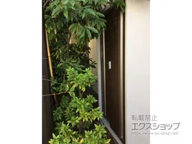 Cio̕uE[EOq Vv[ ʌ^ 900~415~1603iMJX-094D-Pj MJX-094D-P-TB {H